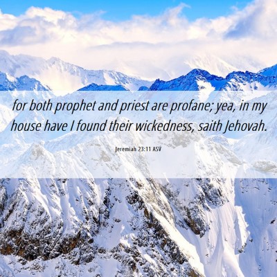 Picture 06 - Jeremiah 23:11 ASV - for both prophet and priest are profane; yea, in - Bible Verse Picture