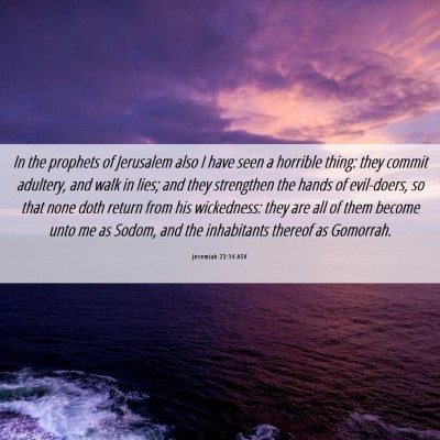 Picture 06 - Jeremiah 23:14 ASV - In the prophets of Jerusalem also I have seen a - Bible Verse Picture