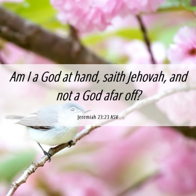 Picture 06 - Jeremiah 23:23 ASV - Am I a God at hand, saith Jehovah, and not a God - Bible Verse Picture