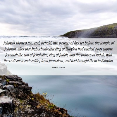 Picture 06 - Jeremiah 24:1 ASV - Jehovah showed me, and, behold, two baskets of - Bible Verse Picture