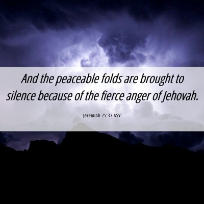 Picture 06 - Jeremiah 25:37 ASV - And the peaceable folds are brought to silence - Bible Verse Picture