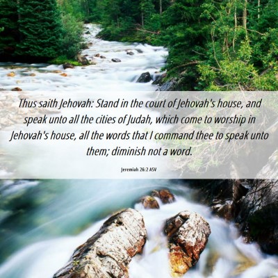 Picture 06 - Jeremiah 26:2 ASV - Thus saith Jehovah: Stand in the court of - Bible Verse Picture