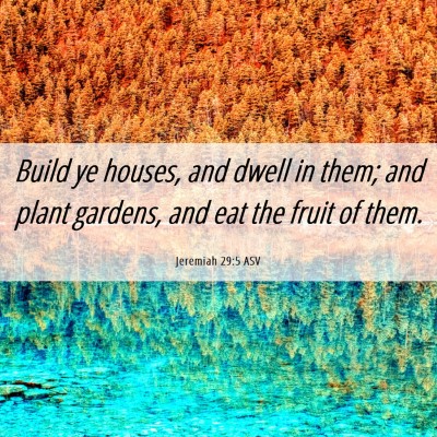 Picture 06 - Jeremiah 29:5 ASV - Build ye houses, and dwell in them; and plant - Bible Verse Picture