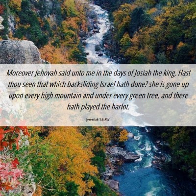 Picture 06 - Jeremiah 3:6 ASV - Moreover Jehovah said unto me in the days of - Bible Verse Picture