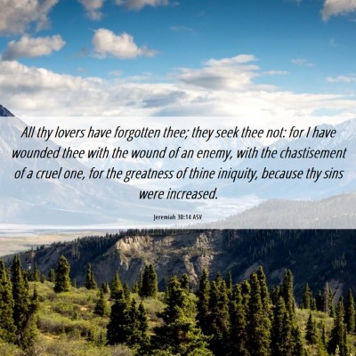 Picture 06 - Jeremiah 30:14 ASV - All thy lovers have forgotten thee; they seek - Bible Verse Picture