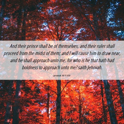 Picture 06 - Jeremiah 30:21 ASV - And their prince shall be of themselves, and - Bible Verse Picture
