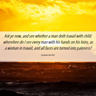 Picture 06 - Jeremiah 30:6 ASV - Ask ye now, and see whether a man doth travail - Bible Verse Picture