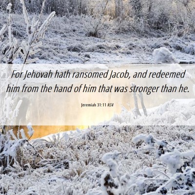 Picture 06 - Jeremiah 31:11 ASV - For Jehovah hath ransomed Jacob, and redeemed him - Bible Verse Picture