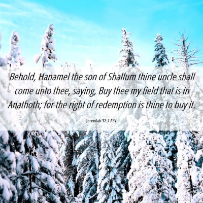Picture 06 - Jeremiah 32:7 ASV - Behold, Hanamel the son of Shallum thine uncle - Bible Verse Picture
