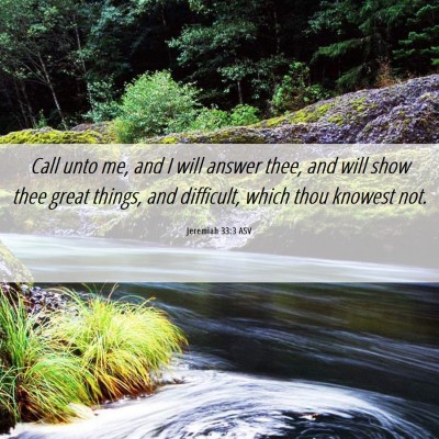 Picture 06 - Jeremiah 33:3 ASV - Call unto me, and I will answer thee, and will - Bible Verse Picture