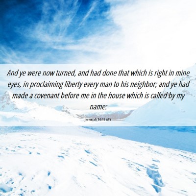 Picture 06 - Jeremiah 34:15 ASV - And ye were now turned, and had done that which - Bible Verse Picture