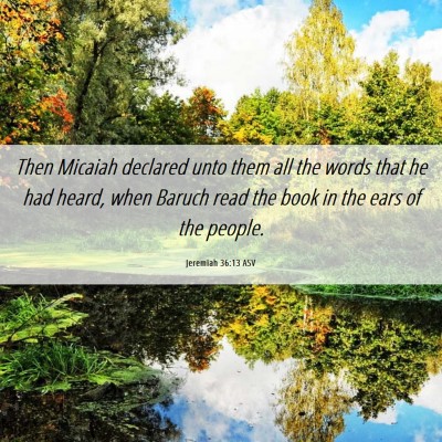 Picture 06 - Jeremiah 36:13 ASV - Then Micaiah declared unto them all the words - Bible Verse Picture