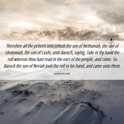 Picture 06 - Jeremiah 36:14 ASV - Therefore all the princes sent Jehudi the son of - Bible Verse Picture