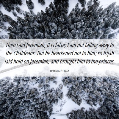 Picture 06 - Jeremiah 37:14 ASV - Then said Jeremiah, It is false; I am not falling - Bible Verse Picture
