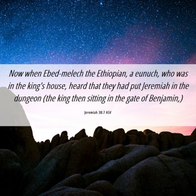 Picture 06 - Jeremiah 38:7 ASV - Now when Ebed-melech the Ethiopian, a eunuch, who - Bible Verse Picture
