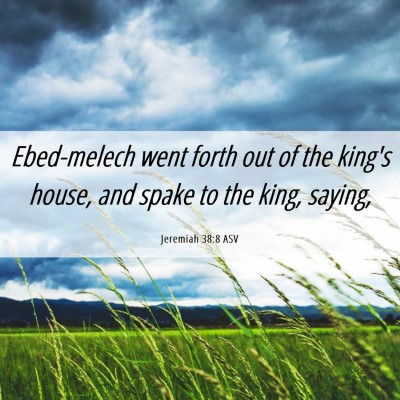 Picture 06 - Jeremiah 38:8 ASV - Ebed-melech went forth out of the king's house, - Bible Verse Picture
