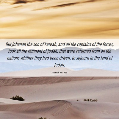 Picture 06 - Jeremiah 43:5 ASV - But Johanan the son of Kareah, and all the - Bible Verse Picture