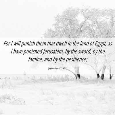 Picture 06 - Jeremiah 44:13 ASV - For I will punish them that dwell in the land of - Bible Verse Picture