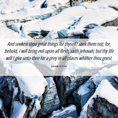 Picture 06 - Jeremiah 45:5 ASV - And seekest thou great things for thyself? seek - Bible Verse Picture