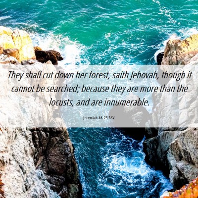 Picture 06 - Jeremiah 46:23 ASV - They shall cut down her forest, saith Jehovah, - Bible Verse Picture