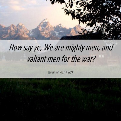 Picture 06 - Jeremiah 48:14 ASV - How say ye, We are mighty men, and valiant men - Bible Verse Picture