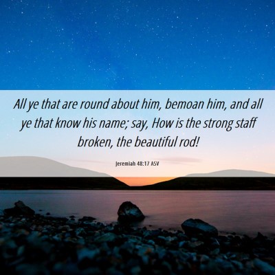 Picture 06 - Jeremiah 48:17 ASV - All ye that are round about him, bemoan him, and - Bible Verse Picture
