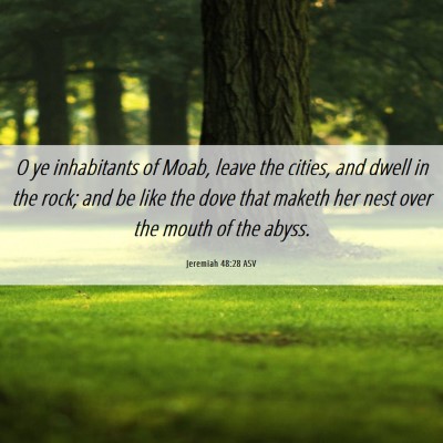 Picture 06 - Jeremiah 48:28 ASV - O ye inhabitants of Moab, leave the cities, and - Bible Verse Picture