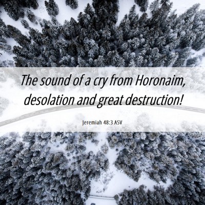 Picture 06 - Jeremiah 48:3 ASV - The sound of a cry from Horonaim, desolation and - Bible Verse Picture