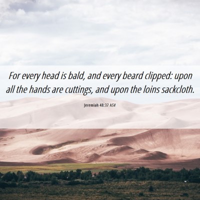 Picture 06 - Jeremiah 48:37 ASV - For every head is bald, and every beard clipped: - Bible Verse Picture