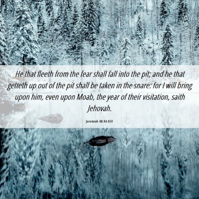 Picture 06 - Jeremiah 48:44 ASV - He that fleeth from the fear shall fall into the - Bible Verse Picture