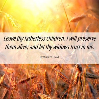 Picture 06 - Jeremiah 49:11 ASV - Leave thy fatherless children, I will preserve - Bible Verse Picture