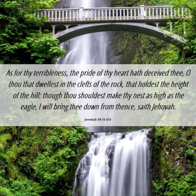 Picture 06 - Jeremiah 49:16 ASV - As for thy terribleness, the pride of thy heart - Bible Verse Picture
