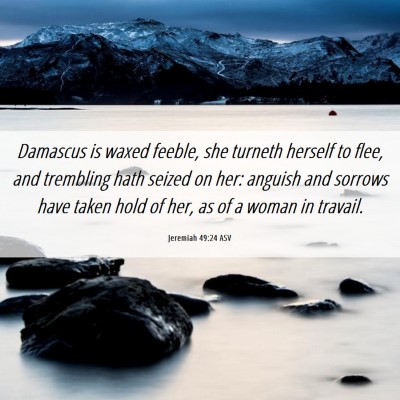 Picture 06 - Jeremiah 49:24 ASV - Damascus is waxed feeble, she turneth herself to - Bible Verse Picture