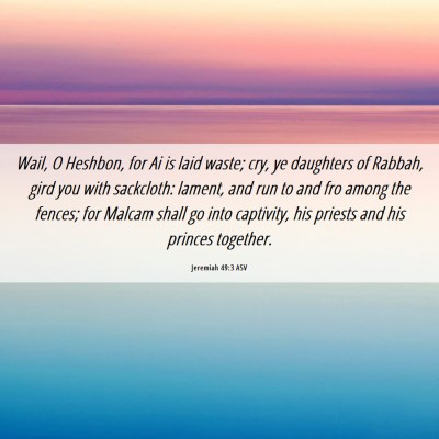 Picture 06 - Jeremiah 49:3 ASV - Wail, O Heshbon, for Ai is laid waste; cry, ye - Bible Verse Picture