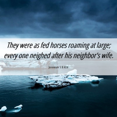 Picture 06 - Jeremiah 5:8 ASV - They were as fed horses roaming at large; every - Bible Verse Picture