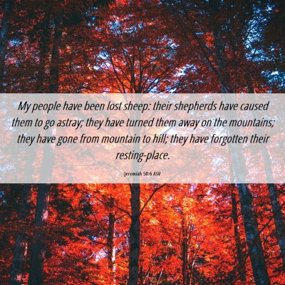 Picture 06 - Jeremiah 50:6 ASV - My people have been lost sheep: their shepherds - Bible Verse Picture