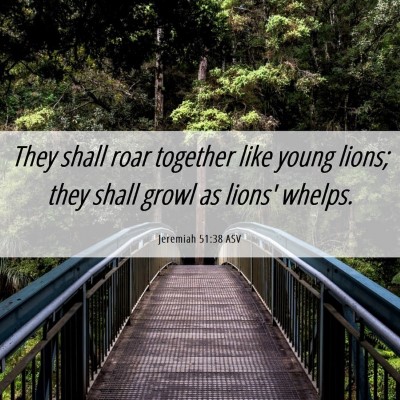 Picture 06 - Jeremiah 51:38 ASV - They shall roar together like young lions; they - Bible Verse Picture