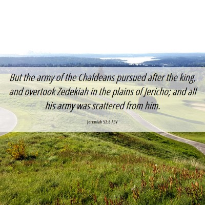 Picture 06 - Jeremiah 52:8 ASV - But the army of the Chaldeans pursued after the - Bible Verse Picture