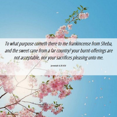 Picture 06 - Jeremiah 6:20 ASV - To what purpose cometh there to me frankincense - Bible Verse Picture