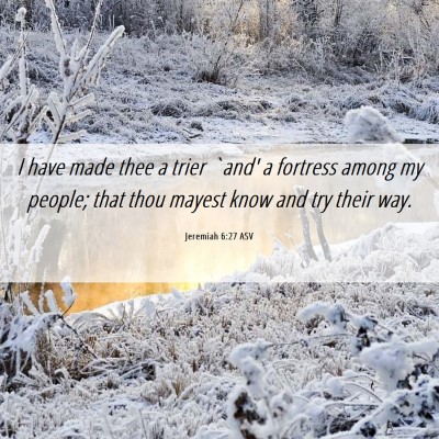 Picture 06 - Jeremiah 6:27 ASV - I have made thee a trier `and' a fortress among - Bible Verse Picture