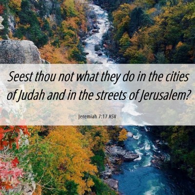 Picture 06 - Jeremiah 7:17 ASV - Seest thou not what they do in the cities of - Bible Verse Picture