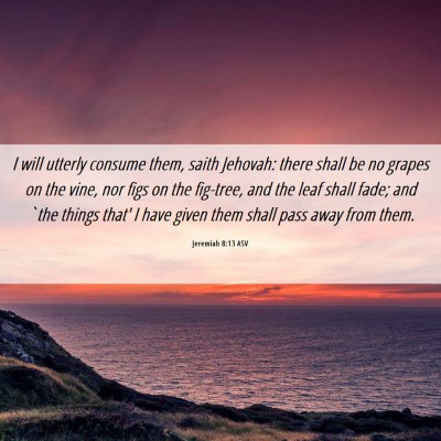 Picture 06 - Jeremiah 8:13 ASV - I will utterly consume them, saith Jehovah: there - Bible Verse Picture