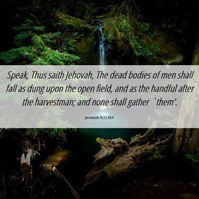 Picture 06 - Jeremiah 9:22 ASV - Speak, Thus saith Jehovah, The dead bodies of men - Bible Verse Picture