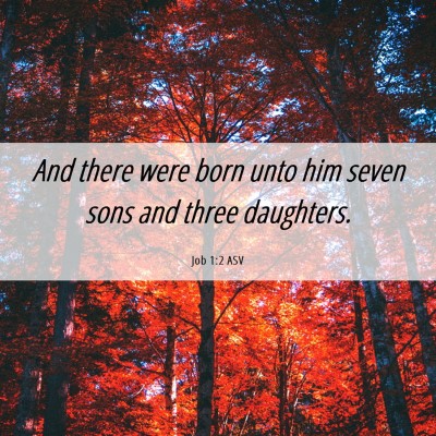 Picture 06 - Job 1:2 ASV - And there were born unto him seven sons and three - Bible Verse Picture