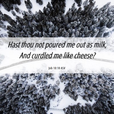 Picture 06 - Job 10:10 ASV - Hast thou not poured me out as milk, And curdled - Bible Verse Picture