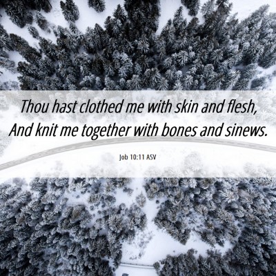 Picture 06 - Job 10:11 ASV - Thou hast clothed me with skin and flesh, And - Bible Verse Picture