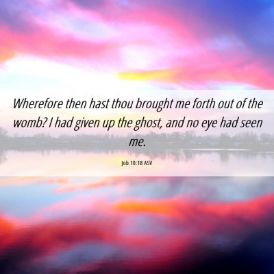 Picture 06 - Job 10:18 ASV - Wherefore then hast thou brought me forth out of - Bible Verse Picture