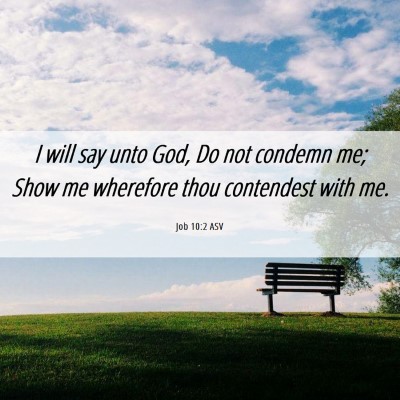 Picture 06 - Job 10:2 ASV - I will say unto God, Do not condemn me; Show me - Bible Verse Picture