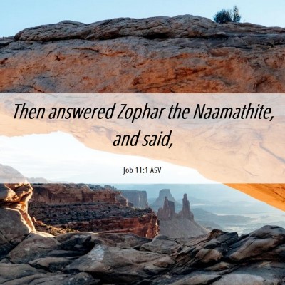 Picture 06 - Job 11:1 ASV - Then answered Zophar the Naamathite, and - Bible Verse Picture