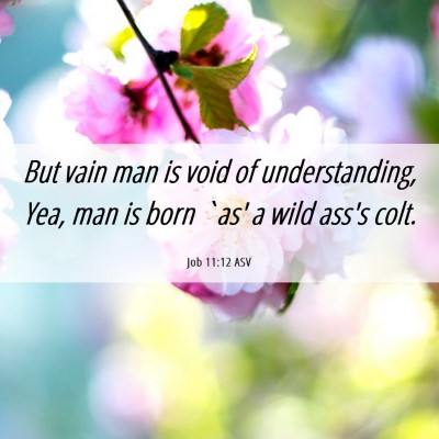 Picture 06 - Job 11:12 ASV - But vain man is void of understanding, Yea, man - Bible Verse Picture